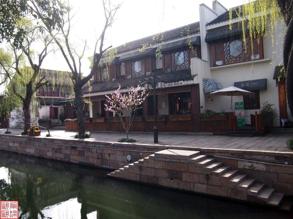 袁心玥加盟天津女排,她会代表天津参加全运会吗?知识星球,探索无限聪明智慧